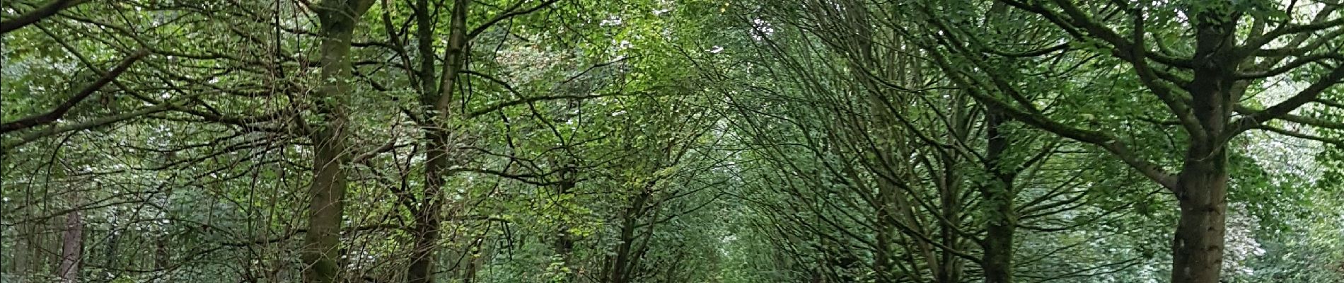 Tocht Stappen Eijsden-Margraten - Mheer - Noorbeek  - Photo