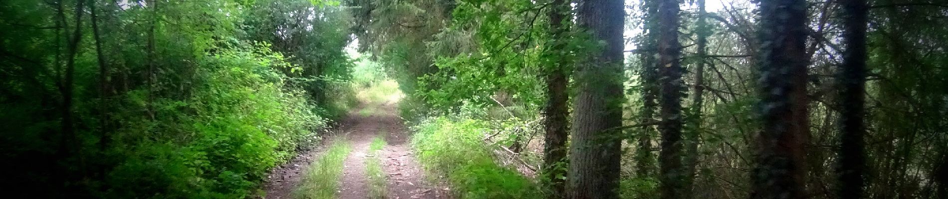 Excursión Bici de montaña Anhée - VTT de bioule - Photo