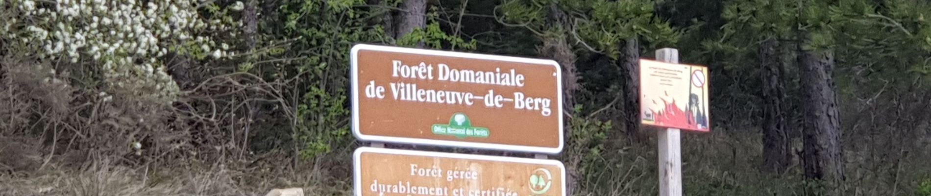 Tour Wandern Villeneuve-de-Berg - la forêt des sens Villeneuve de Berg  - Photo
