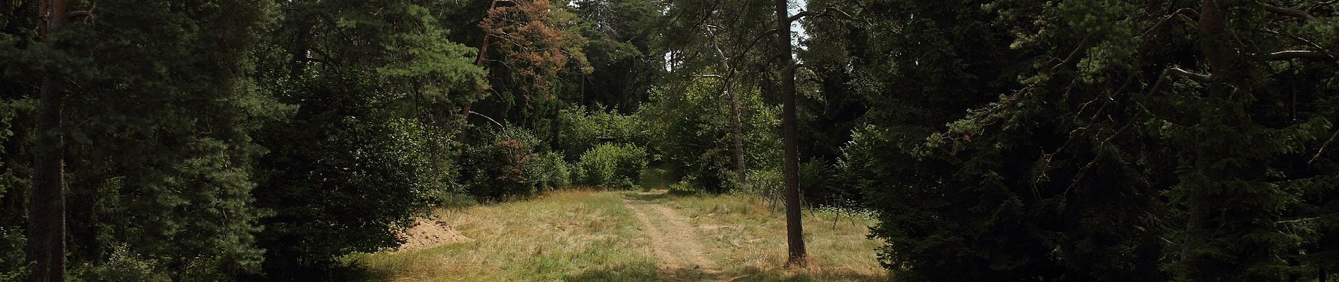 Trail On foot Dietfurt an der Altmühl - Kreuzbergweg - Photo