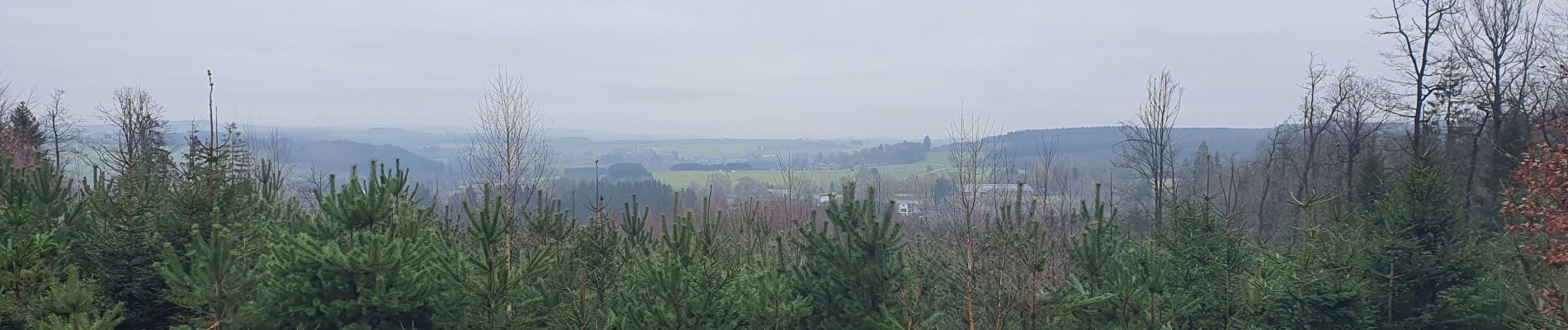 Tour Wandern Sainte-Ode - rando lavacherie 14 -12-2021 - Photo