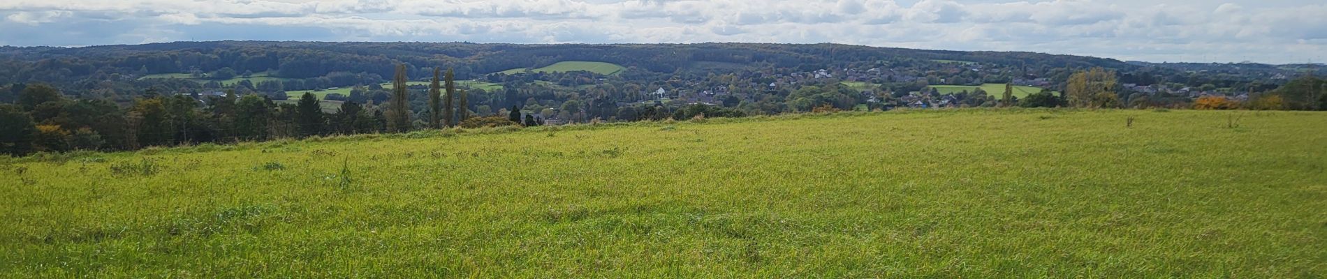 Tour Wandern Namen - Malonne 151024 - Photo