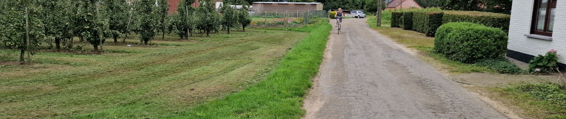 Randonnée Vélo de route Rotselaer - Meanderroute (PVDB) - Photo