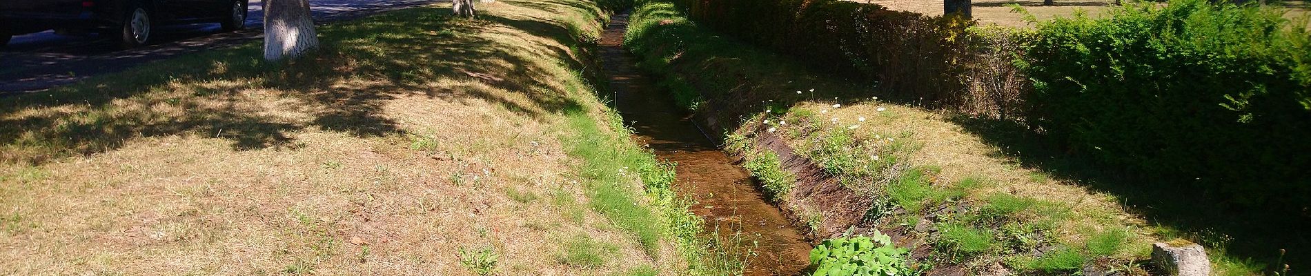 Tour Zu Fuß Kleinheubach - Rundwanderweg Kleinheubach Galgen 3: Steingemürbweg - Photo