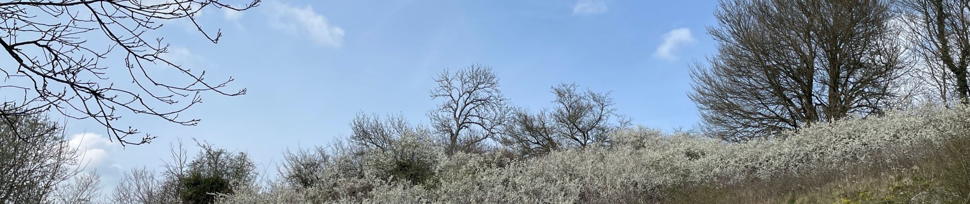 Tour Wandern Olne - H Nessonvaux Olne par les escaliers Meuniers - Photo