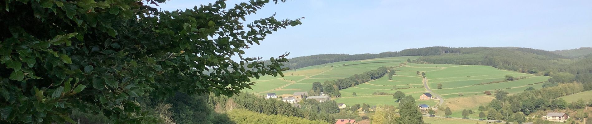 Tour Wandern Sankt Vith - Alfteg Ihren - Photo