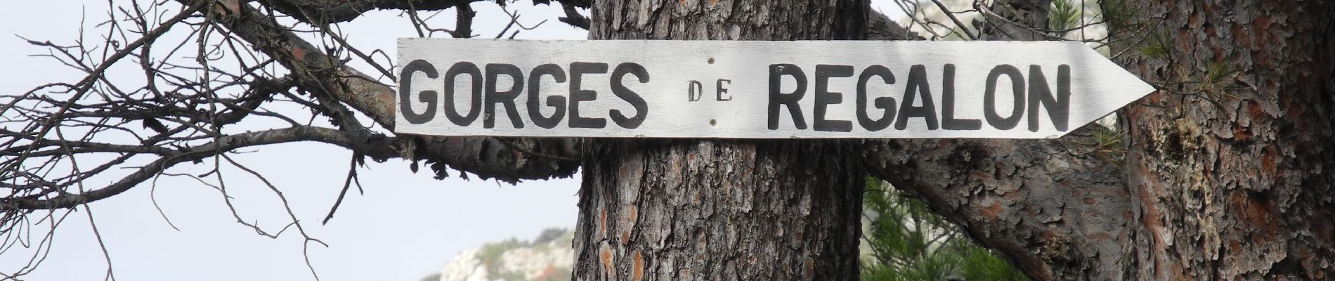 Randonnée Marche Cheval-Blanc - PF-Cheval-Blanc - Les Gorges de Régalon - Les Mayorques - W - Photo