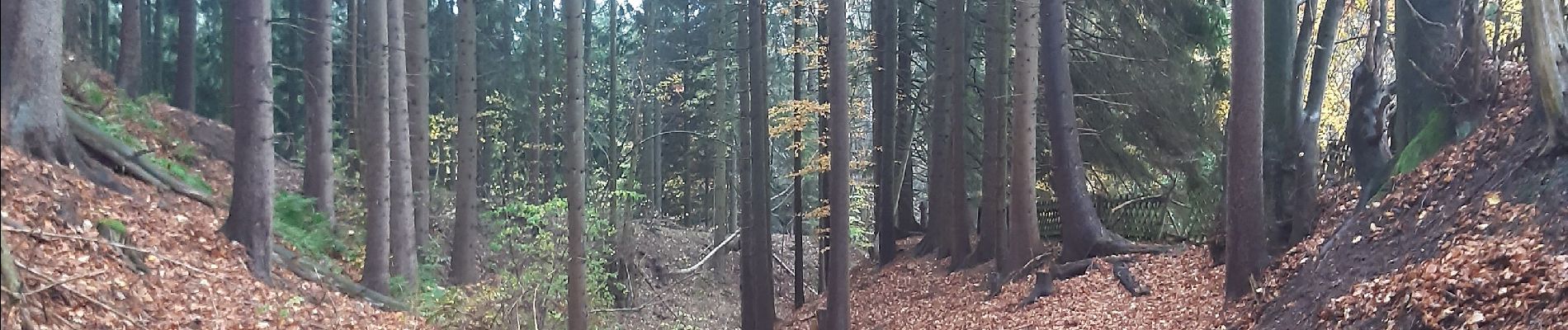 Tour Wandern Malmedy - malmedy . ferme libert .  tro maret . ferme libert . malmedy par les crêtes  - Photo