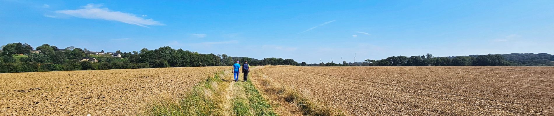 Excursión Senderismo Gesves - Marche Adeps à Gesves 2024 - Photo