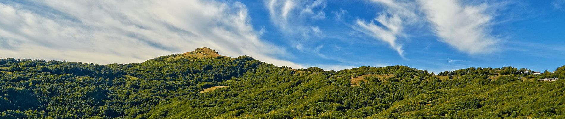 Percorso A piedi Romagnese - Monte Pietra di Corvo - Brallo di Pregola - Passo del Giovà - Photo