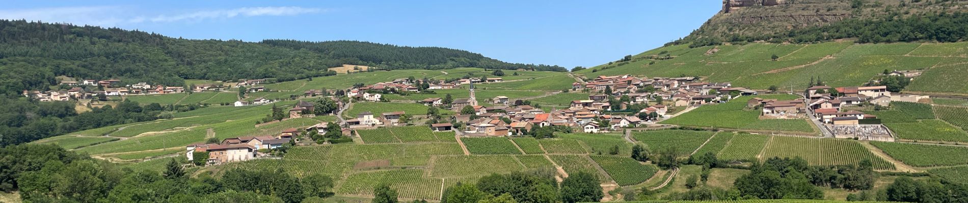 Randonnée Marche Davayé - Roche de solutré - Photo