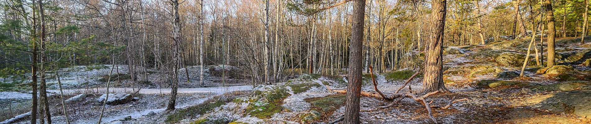 Randonnée A pied Inconnu - Björkhagsspåret - Photo