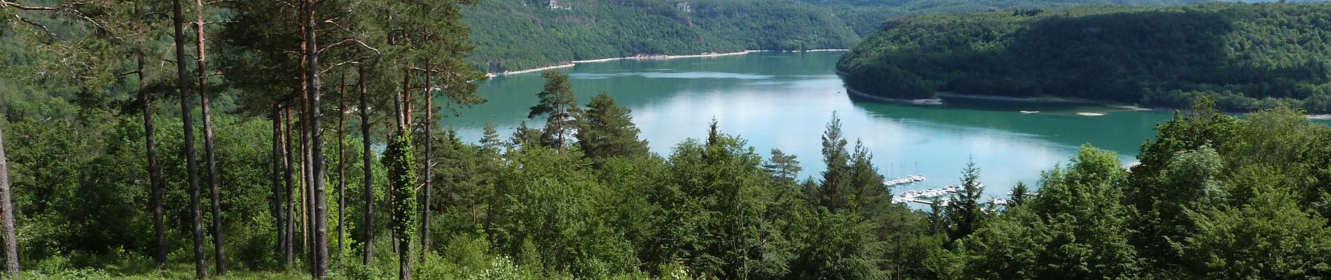 Tocht Stappen Maisod - Jura (lac de Vouglans 06-06-2019) - Photo