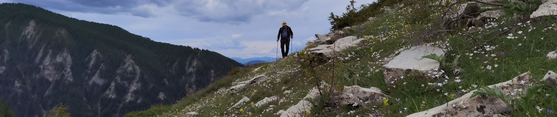 Tocht Stappen Beauvezer - Villard Heyssier_ gorges st Pierre_pont d'Ondres - Photo