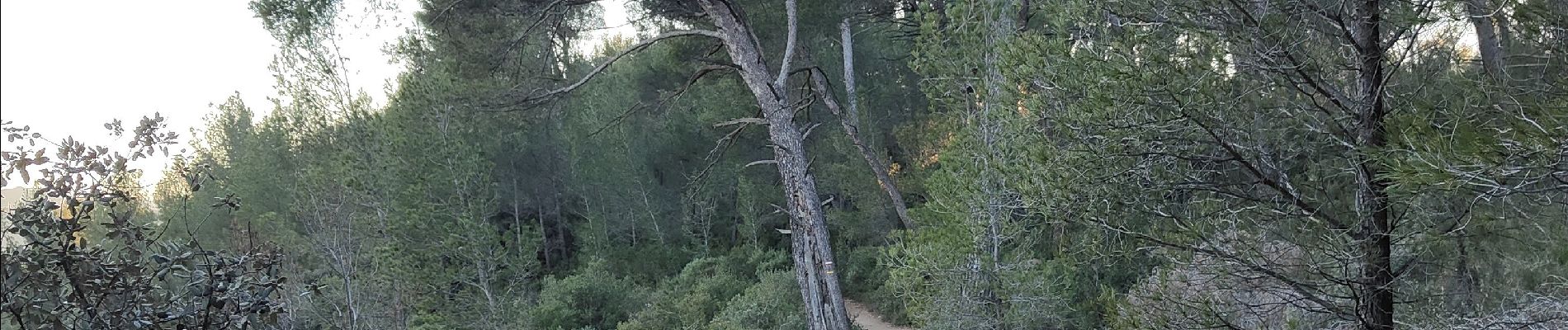 Trail Walking Aix-en-Provence - Randonnée des barrages Zola et Bimont - Photo