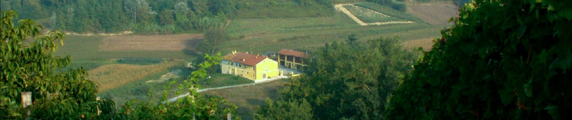 Percorso A piedi Montà - Sentiero Religioso - Photo