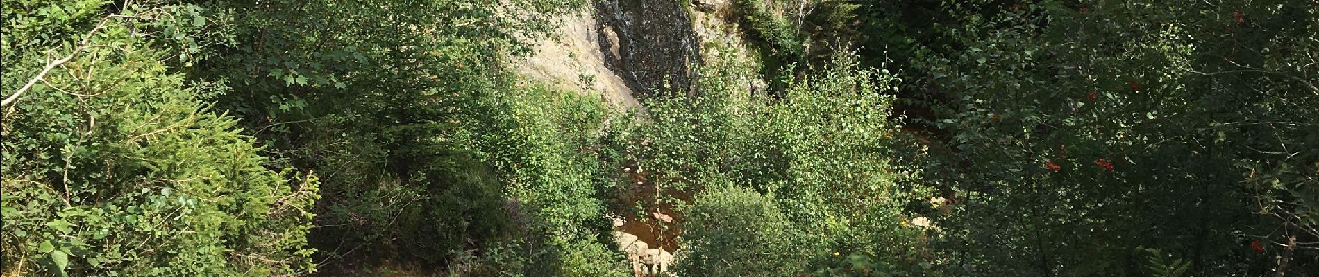 Tour Wandern Weismes - Peak Beer Brune  - Photo