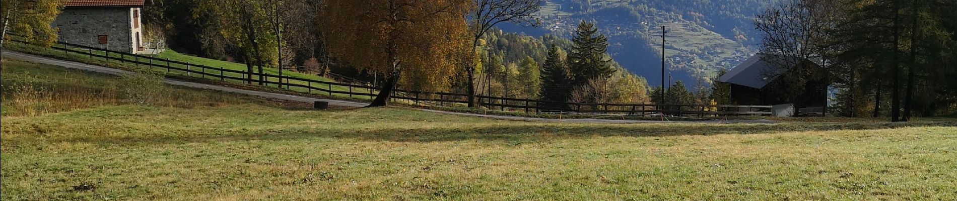 Tocht Noords wandelen Arbaz - Anzère  - Photo