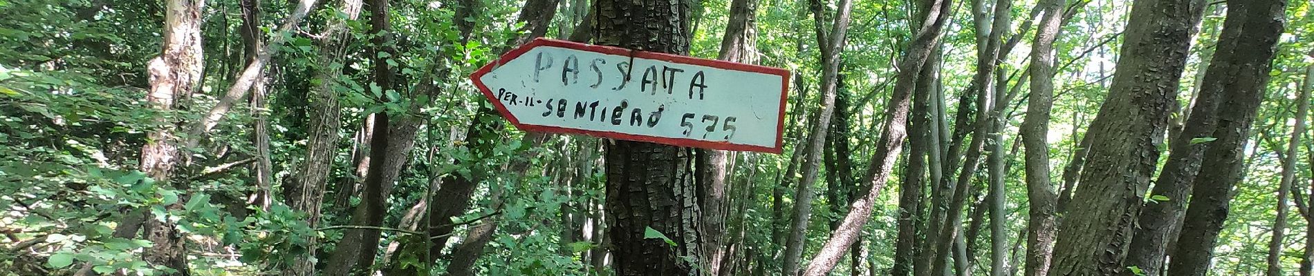 Randonnée A pied Rota d'Imagna - Sentiero 586: Rota d'Imagna - La Passata - Photo