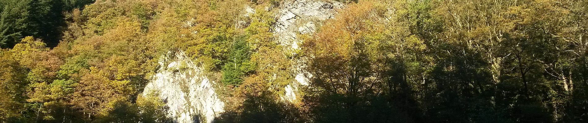 Tour Zu Fuß Simmerath - Heckenlandroute - Photo