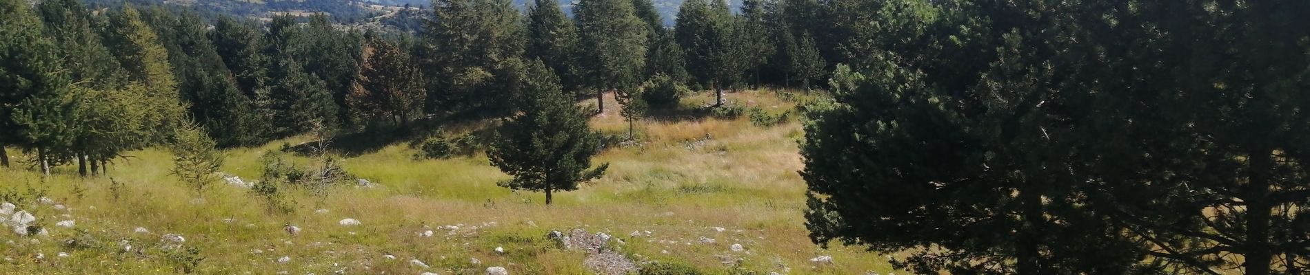 Tour Wandern Le Dévoluy - Le col charrier  - Photo