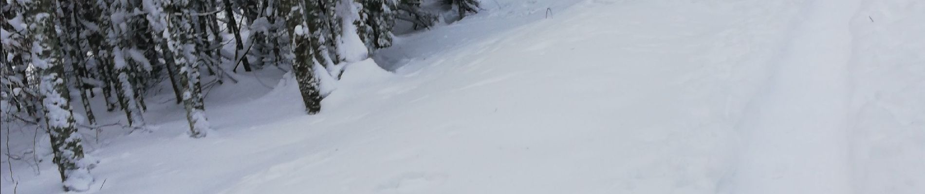 Randonnée Raquettes à neige Le Hohwald - rptlch - Photo