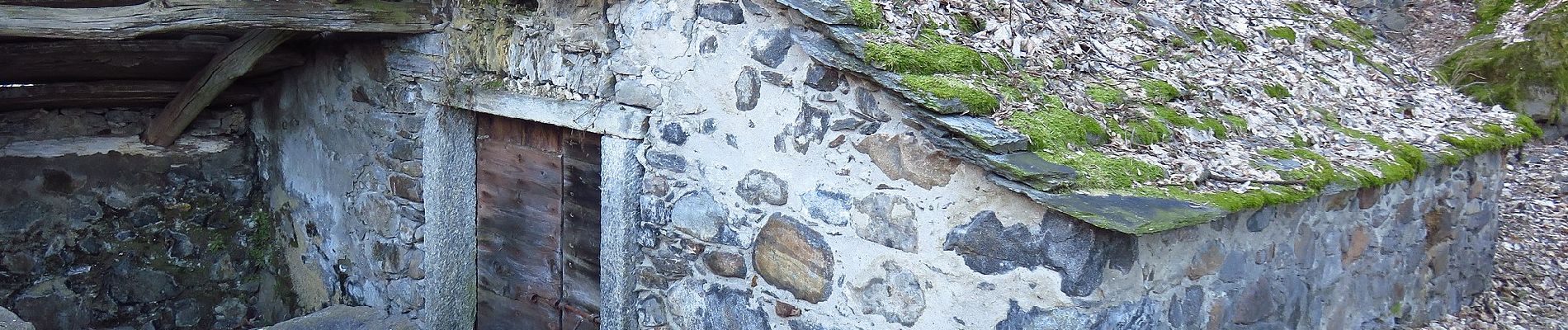 Percorso A piedi Valstrona - Sentiero Beltrami - Photo