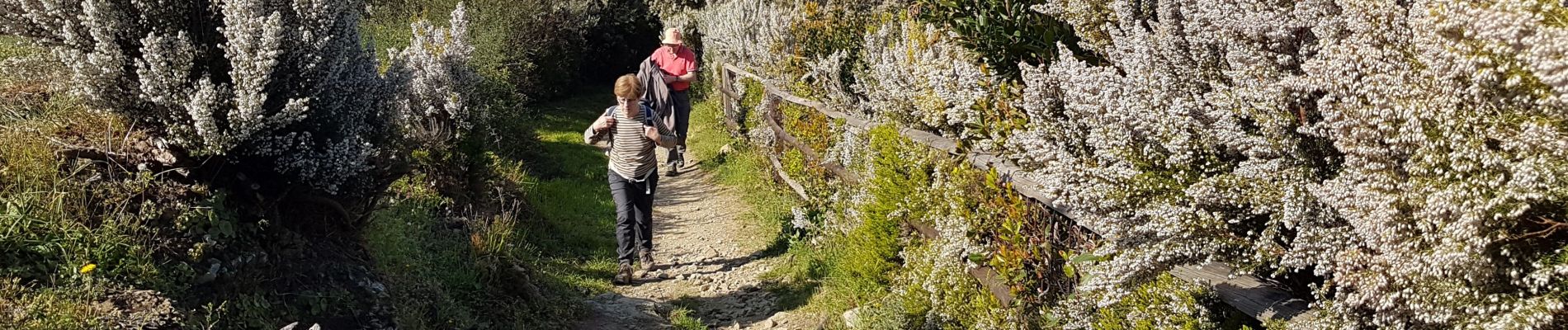 Tocht Stappen Riomaggiore - RA 2019 Cinque Terre Riomaggiore Porto Venere - Photo