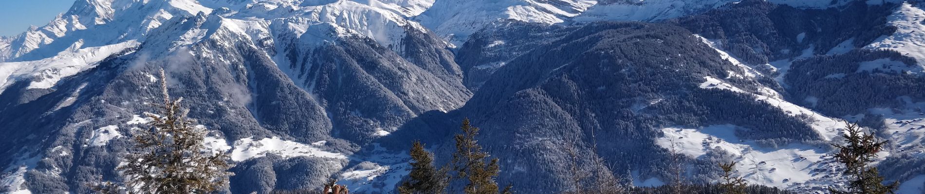 Percorso Sci alpinismo Beaufort - la Crasse - les Maisonettes - Roche Plane - Photo