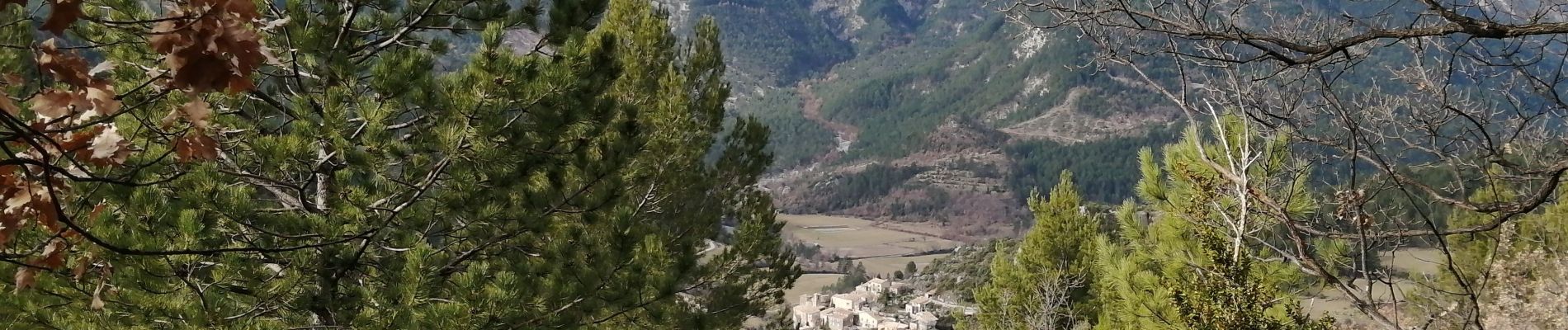 Trail Walking Brantes - petit brantes - Photo