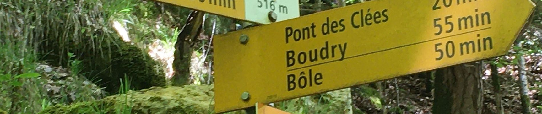 Randonnée A pied Boudry - Pont des Clées-Forêt de Boudry - Photo
