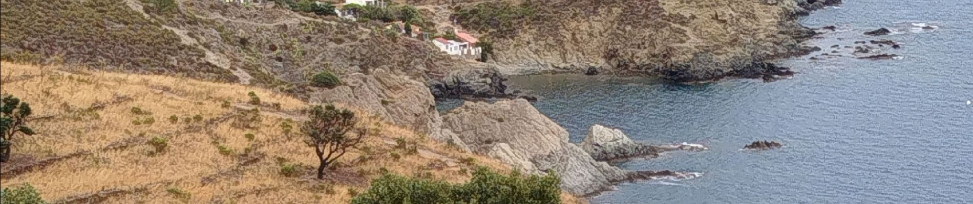 Tocht Stappen Port-Vendres - port vendre, polilles - Photo