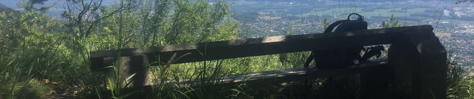 Randonnée Marche Biviers - Pas de la branche - Photo