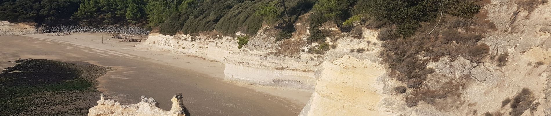 Randonnée Marche Meschers-sur-Gironde - estuaire - Photo