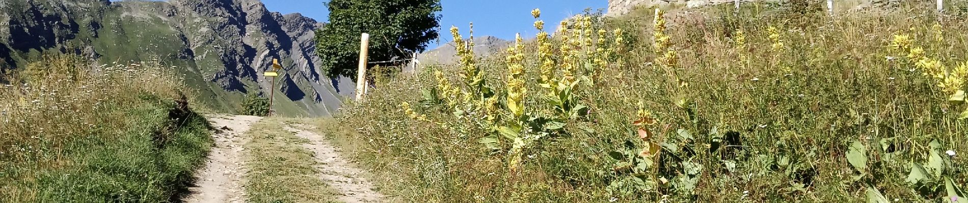 Trail Walking Valloire - anticime de la Grande Chible et plus  - Photo