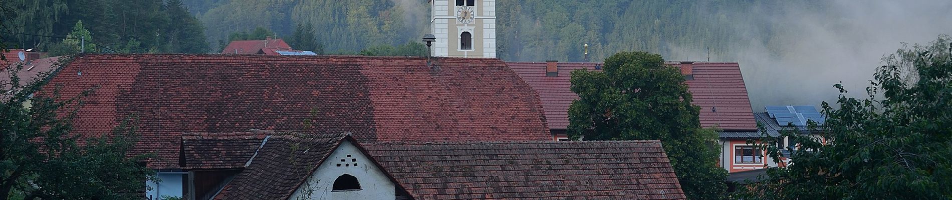 Percorso A piedi Birkfeld - Genussrundwanderweg Koglhof - Sallegg - Photo