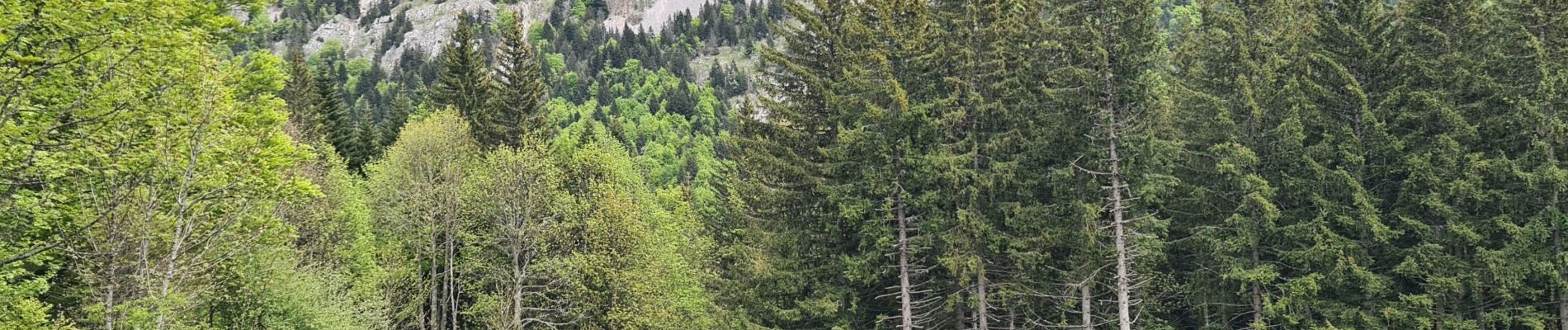 Tour Wandern Villard-de-Lans - La moliere - col d'herbouilly - pot du loup - crête - Photo