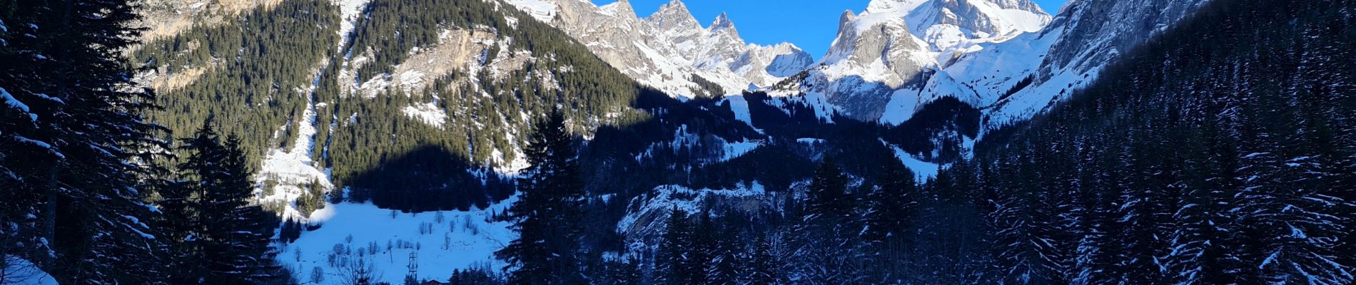 Trail Snowshoes Pralognan-la-Vanoise - Pont de Gerlon - Photo