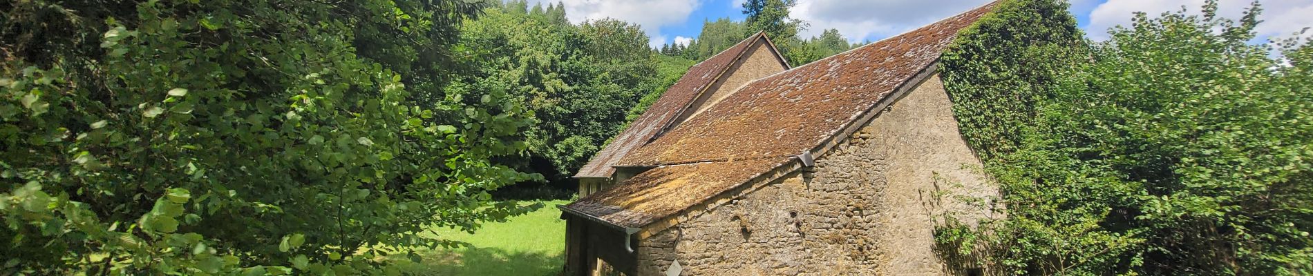 Tour Wandern Meix-devant-Virton - rando gerouville 6-07-2023 - Photo