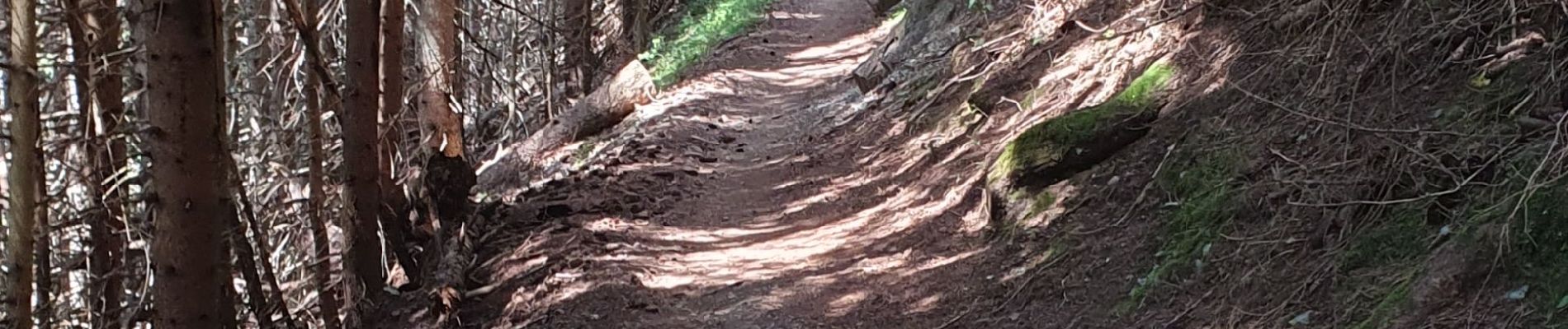 Tocht Mountainbike Hauteluce - tour lac girote - Photo