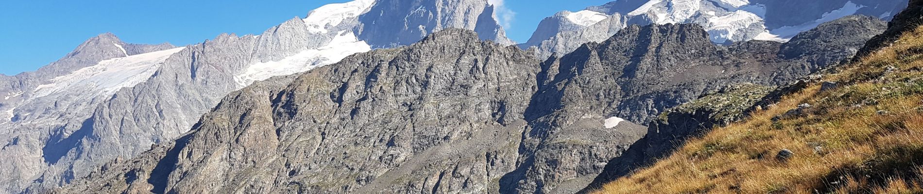 Tour Wandern La Grave - La Grave - La Meije - Ref Chancel et Belvédère  - Photo