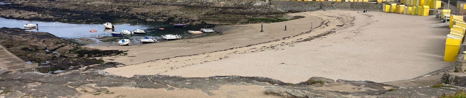 Tocht Trail Le Pouliguen - Plage de Nau-bout de Batz(18.5K 80D+) - Photo