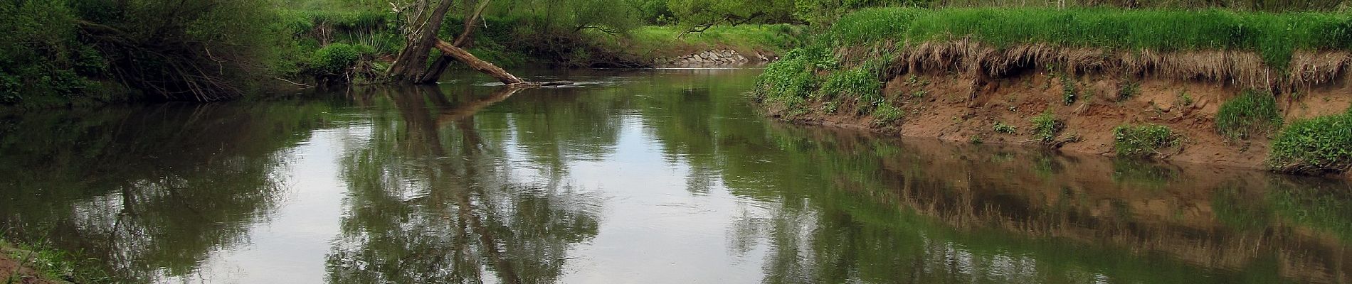 Tour Zu Fuß Blieskastel - Schmetterling-Rundwanderweg Webenheim - Photo