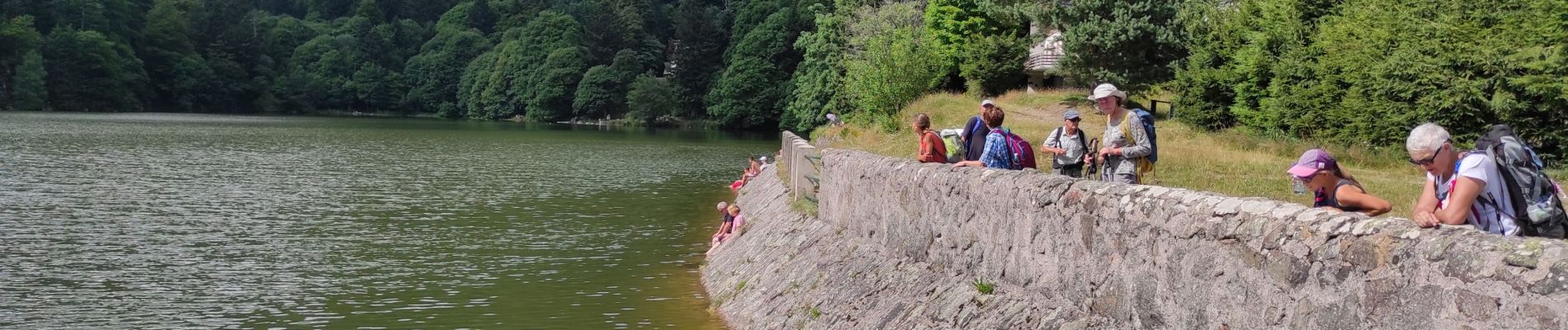 Tour Wandern Stoßweier - Gaschney Honeck - Photo