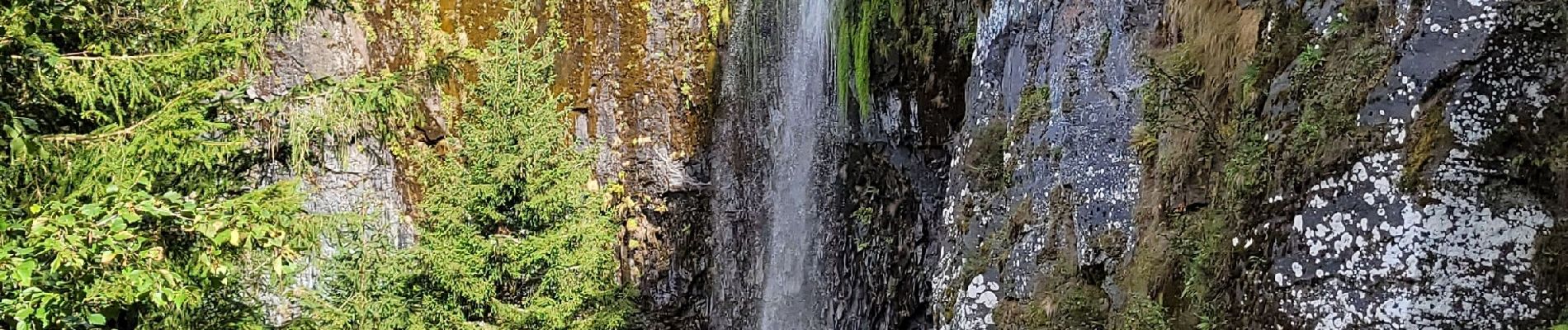 Tour Wandern Mont-Dore - cirque du s1ncy - Photo