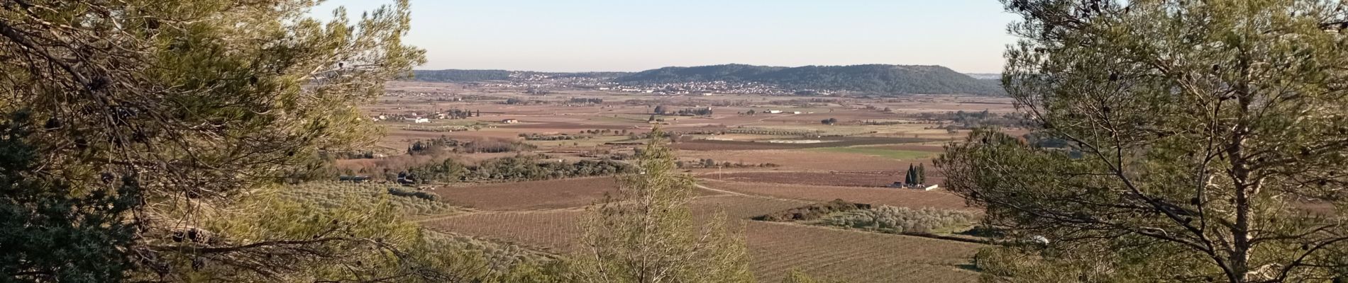 Randonnée Marche Calvisson - Sinsans - Photo