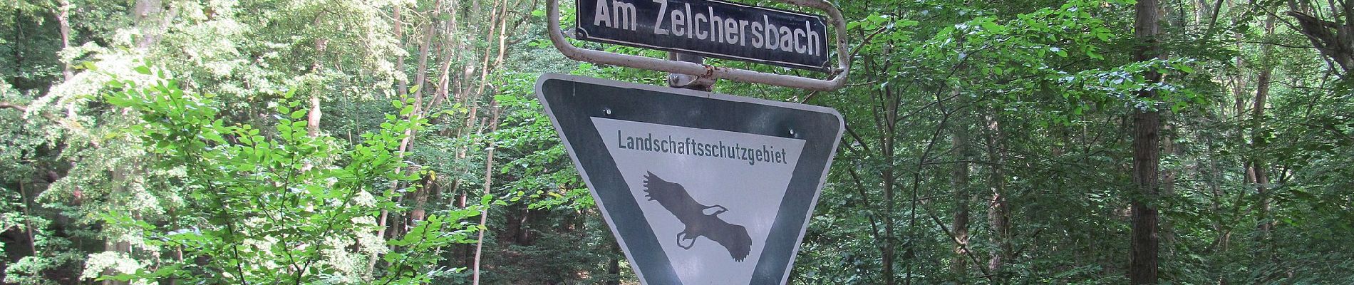 Tocht Te voet Eschwege - Premiumweg P3– Blaue Kuppe - Leuchtberge - Photo