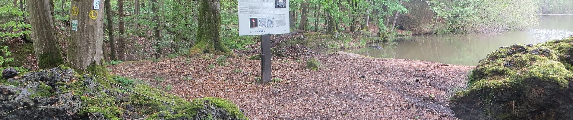 Percorso A piedi Michelstadt - Rundwanderweg Michelstadt Einhard Quelle 2: Kühberg-Weg - Photo