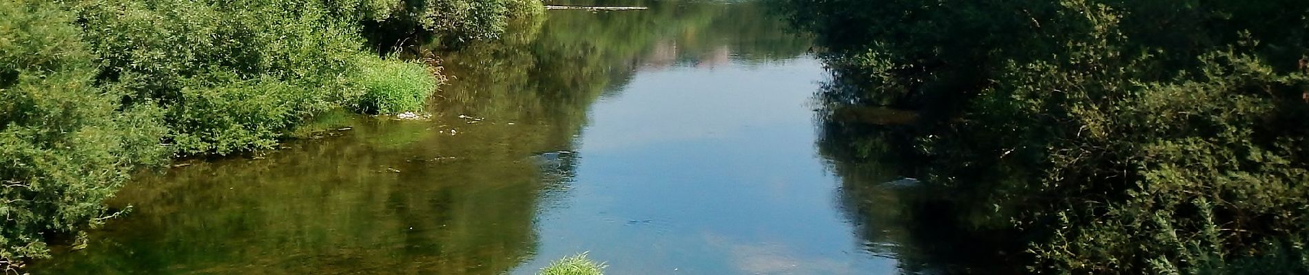 Randonnée A pied Widdern - Olnhausen-Harthäuser Wald - Photo