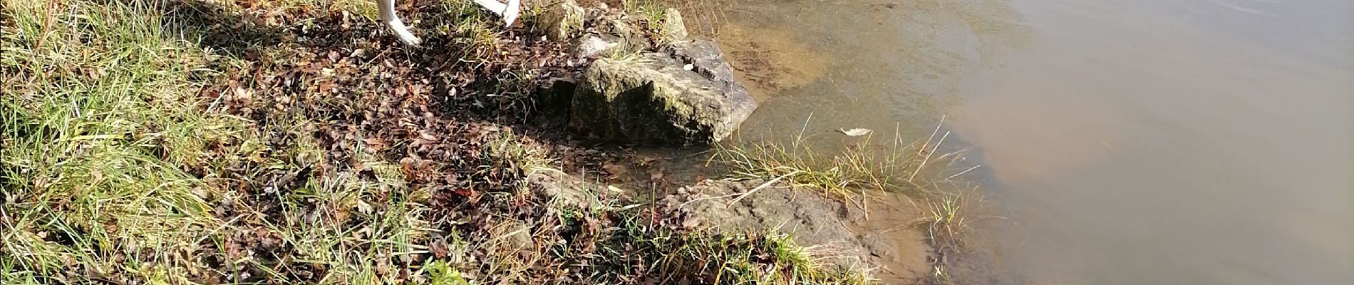 Trail Walking La Chapelle-de-Guinchay - balade - Photo